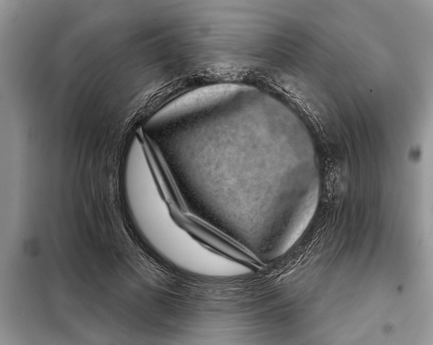 X0000097950693200804071005