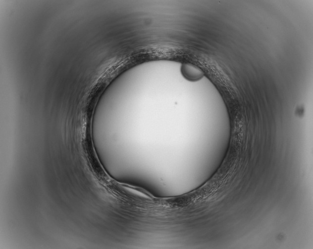 X0000097950694200804071005