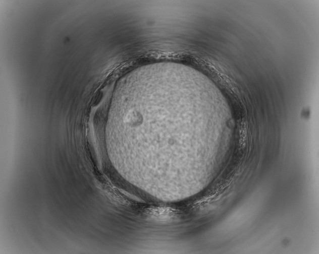 X0000097950695200804071005