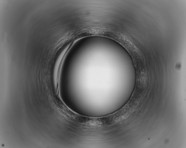 X0000097950696200804071005