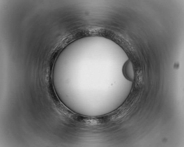 X0000097950698200804071005