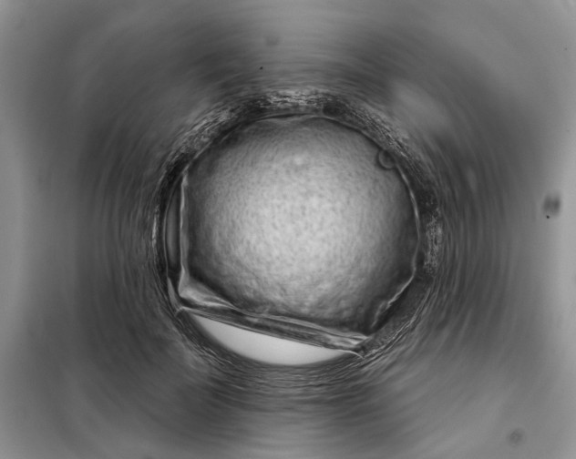 X0000097950699200804071005