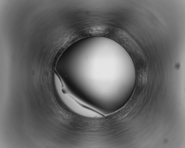 X0000097950700200804071005