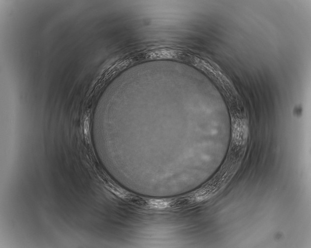 X0000097950701200804071005