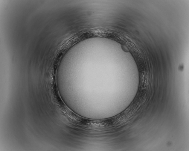 X0000097950702200804071005
