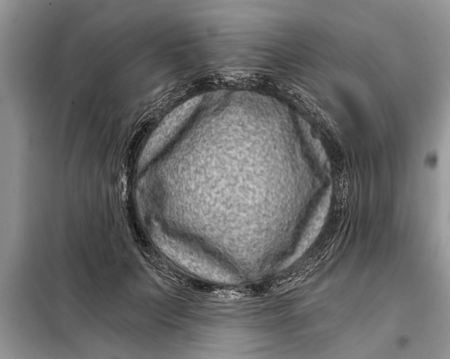 X0000097950703200804071005