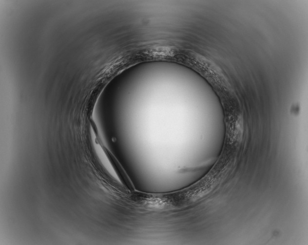 X0000097950704200804071005