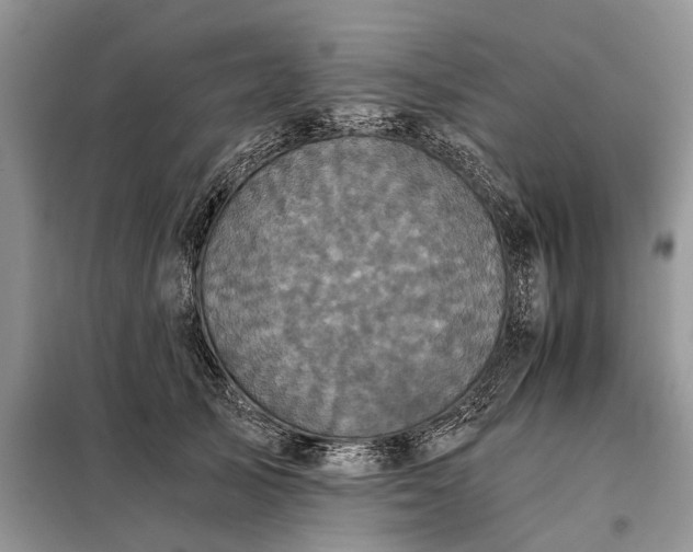 X0000097950705200804071005