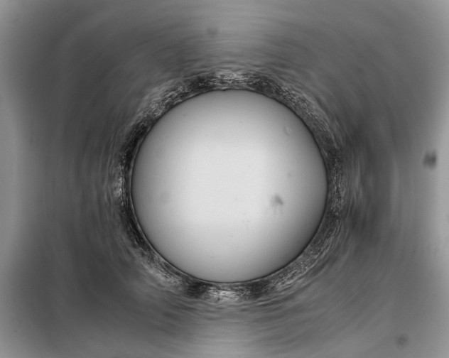 X0000097950706200804071005