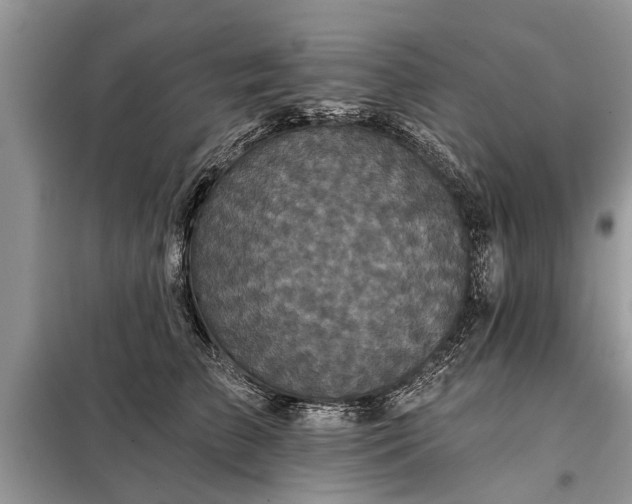 X0000097950709200804071005