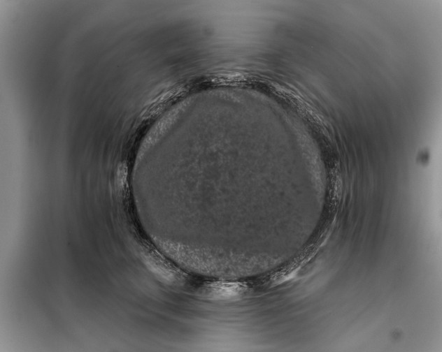 X0000097950711200804071005