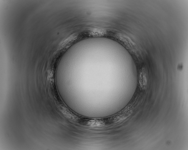 X0000097950714200804071005