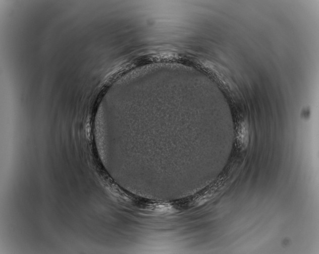 X0000097950715200804071005