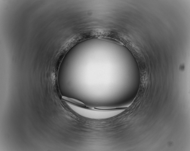 X0000097950716200804071005