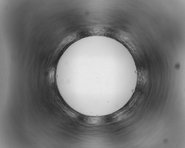 X0000097950717200804071005