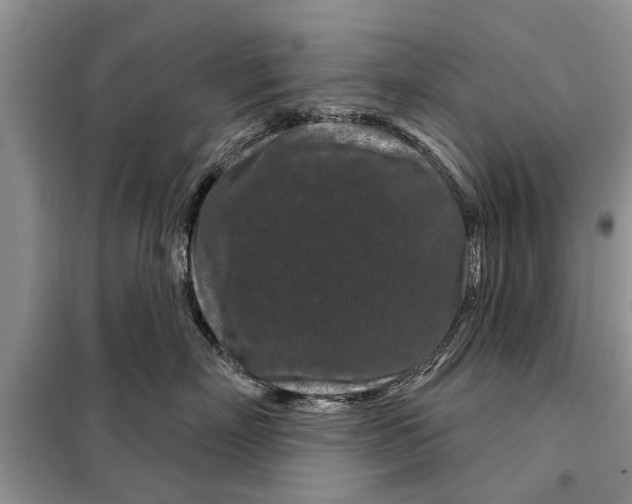 X0000097950718200804071005