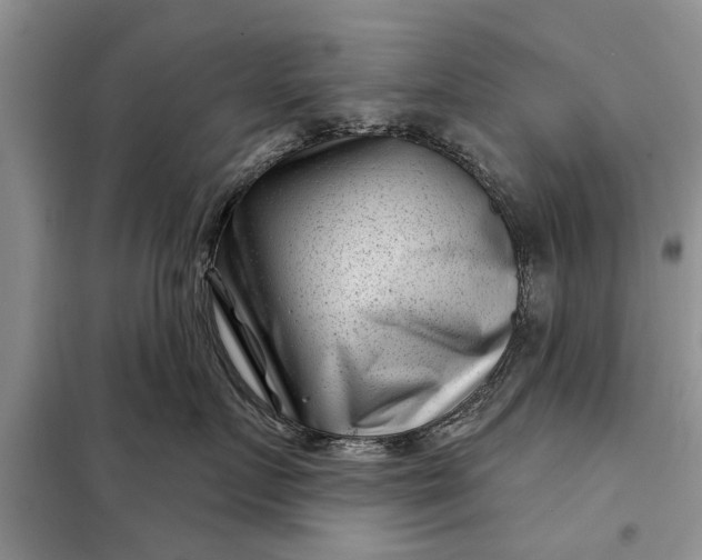 X0000097950719200804071005