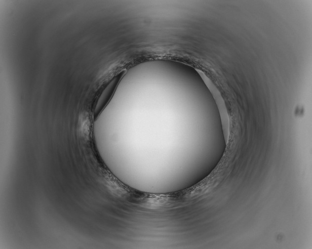 X0000097950720200804071005
