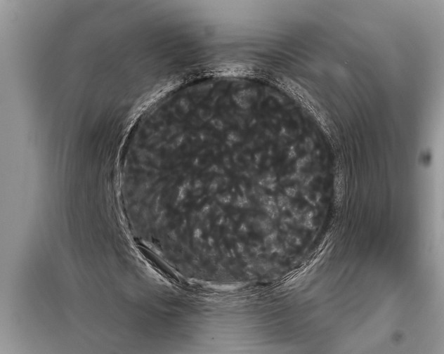 X0000097950721200804071004