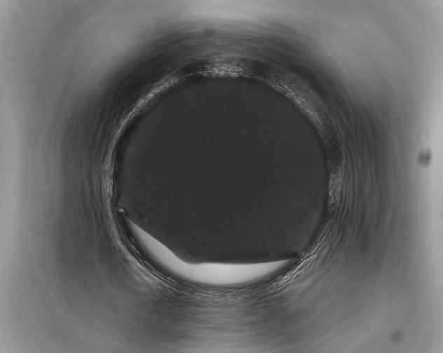X0000097950722200804071004