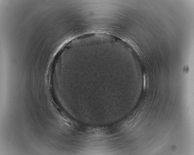 X0000097950723200804071004