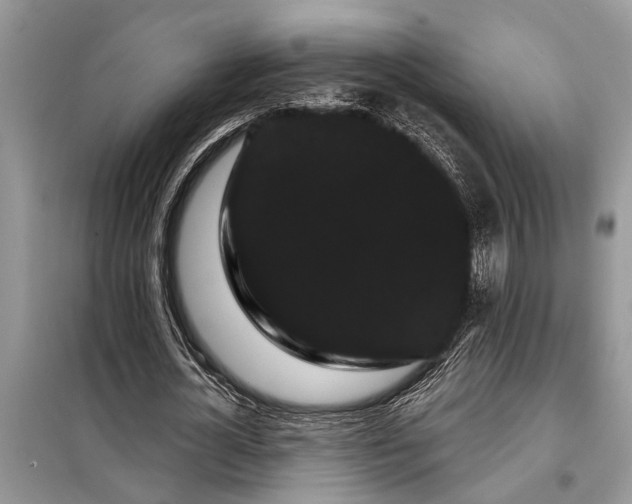 X0000097950724200804071004