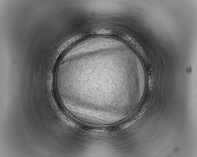 X0000097950725200804071004