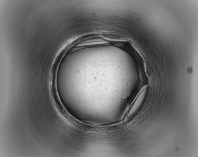 X0000097950726200804071004