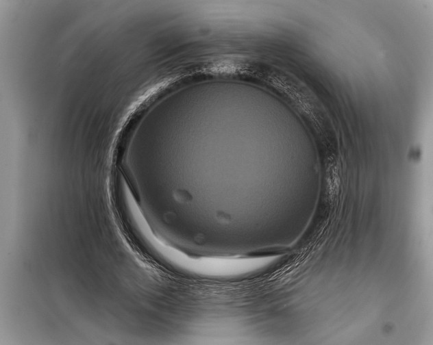 X0000097950728200804071004