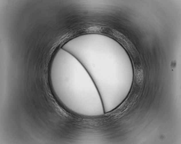 X0000097950729200804071004