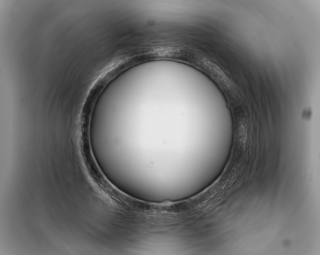 X0000097950730200804071004