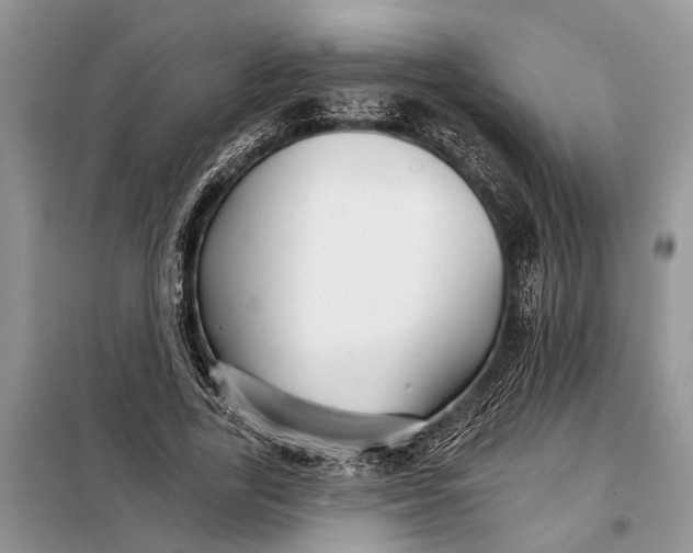 X0000097950731200804071004