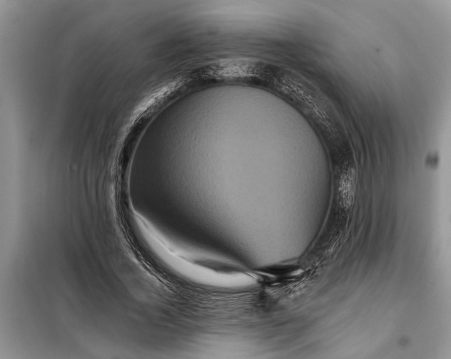 X0000097950732200804071004