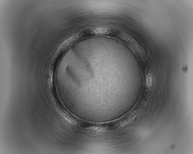 X0000097950733200804071004
