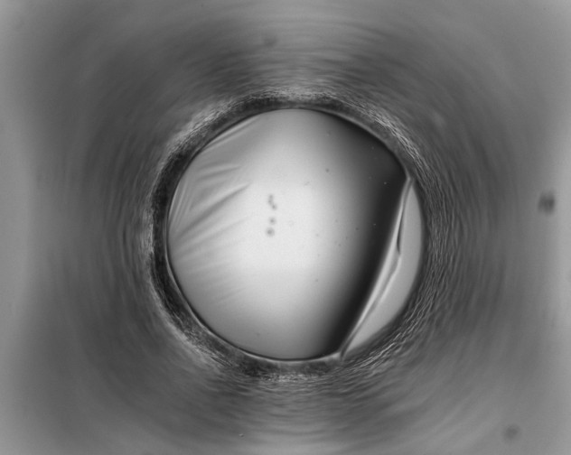 X0000097950734200804071004