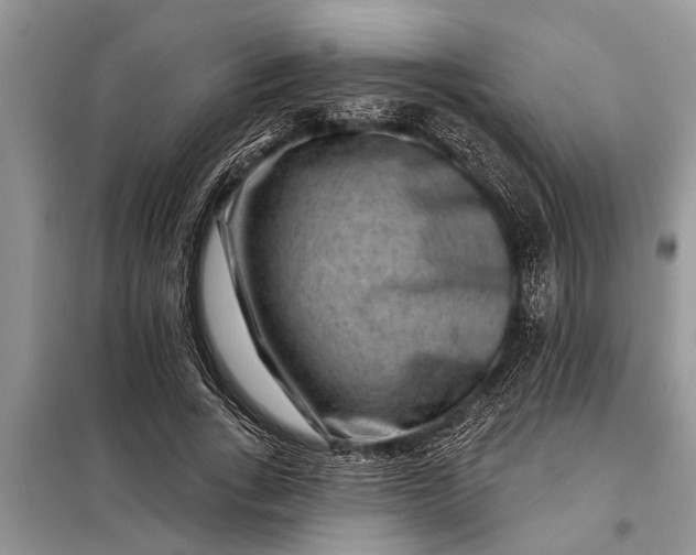 X0000097950735200804071004