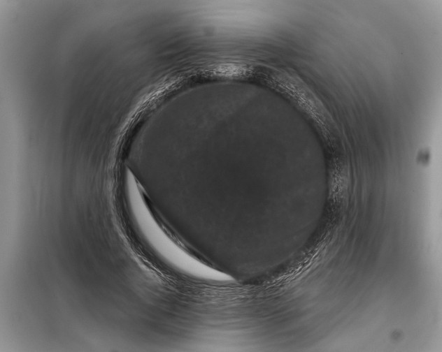 X0000097950736200804071004