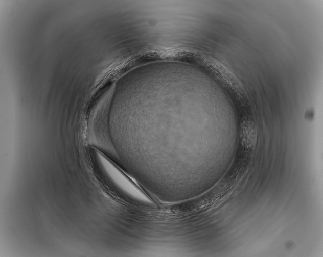X0000097950740200804071004