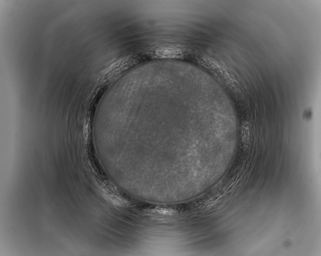 X0000097950741200804071004