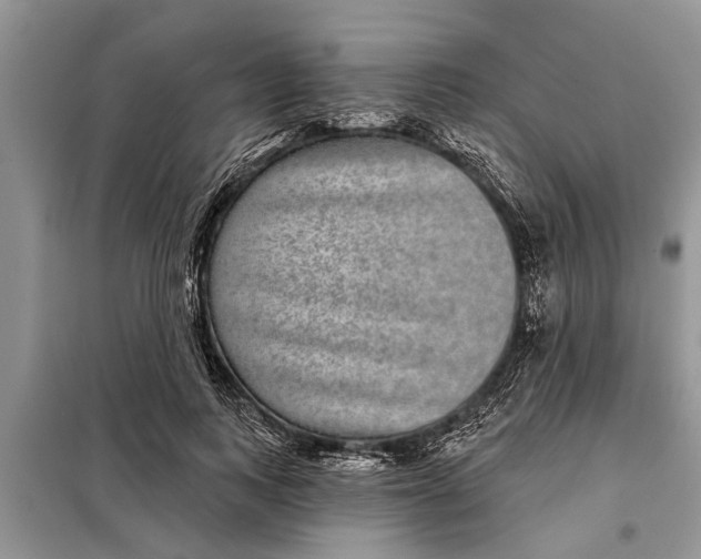 X0000097950743200804071004