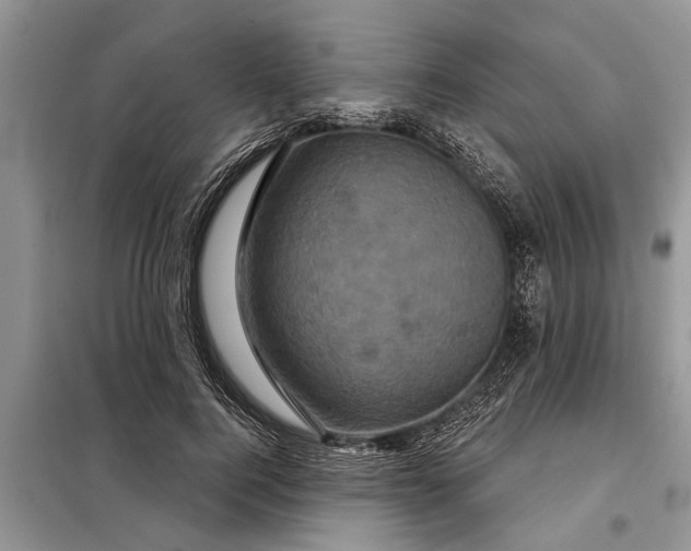 X0000097950744200804071004