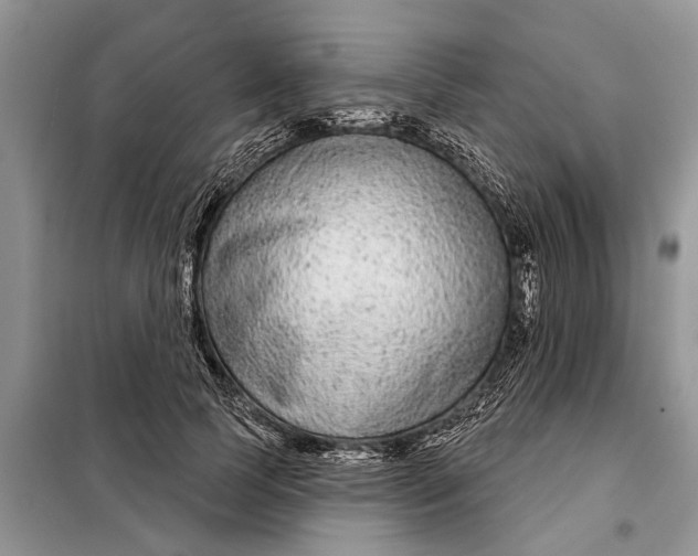 X0000097950745200804071004