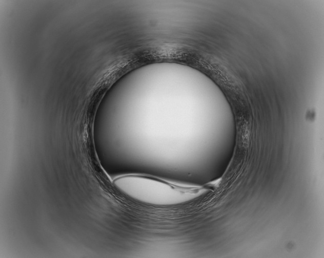 X0000097950746200804071004