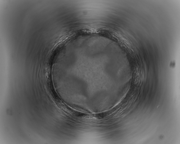 X0000097950747200804071004