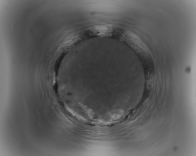 X0000097950748200804071004