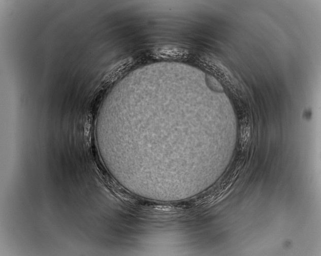 X0000097950749200804071004