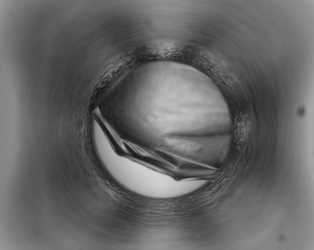 X0000097950750200804071004