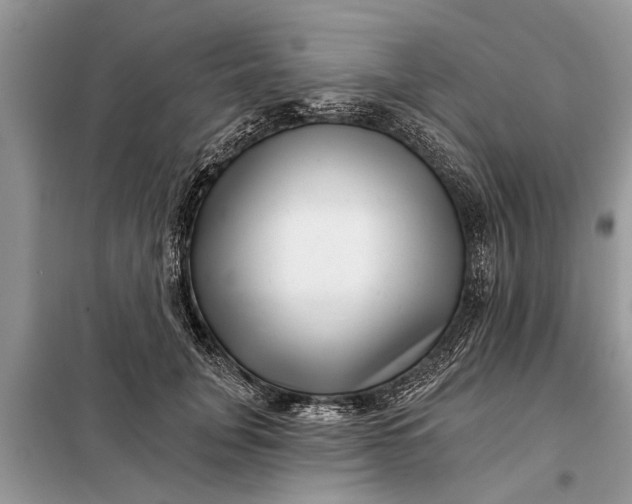X0000097950751200804071004