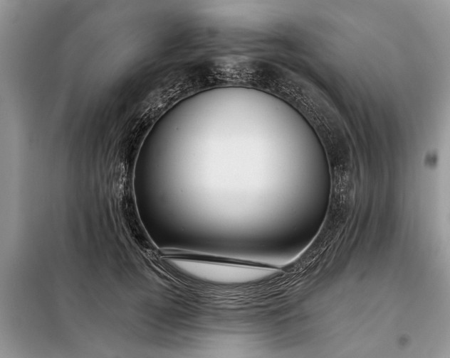 X0000097950752200804071004