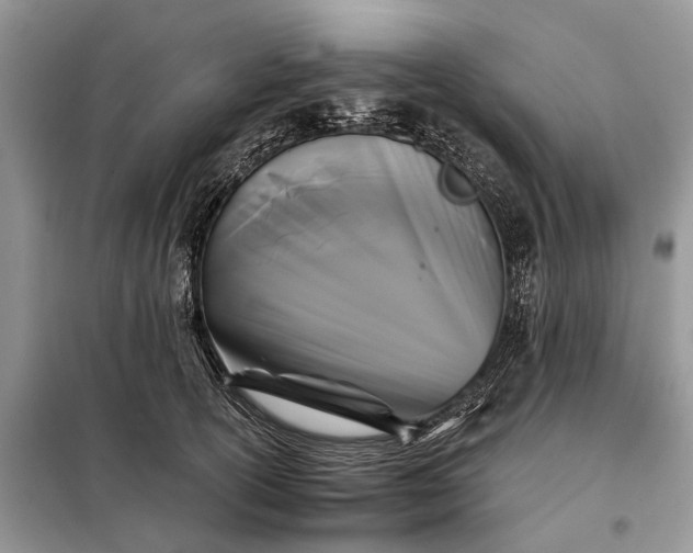 X0000097950754200804071004